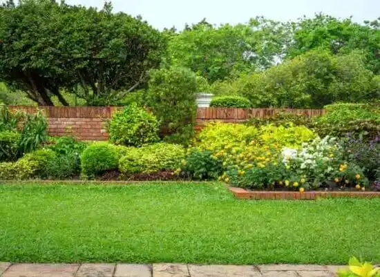 landscaping services Holly Springs